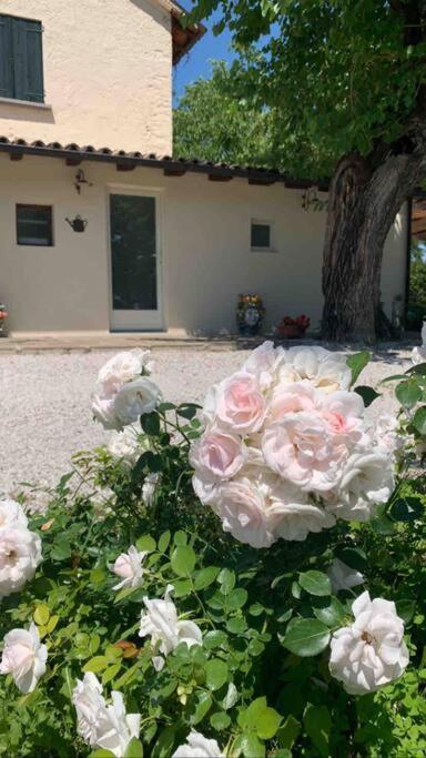 Casa Bellona Montebelluna Kültér fotó